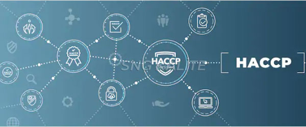 haccp ne işe yarar